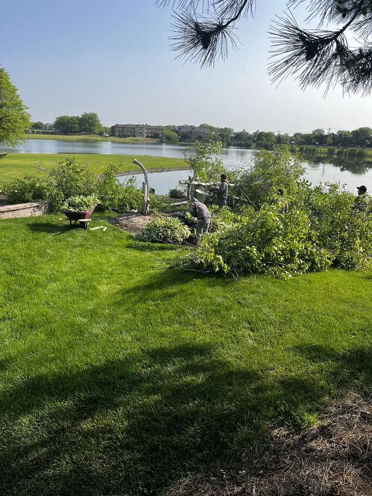 Reliable landscape design for year-round maintenance in Naperville, IL by Montanos Landscaping