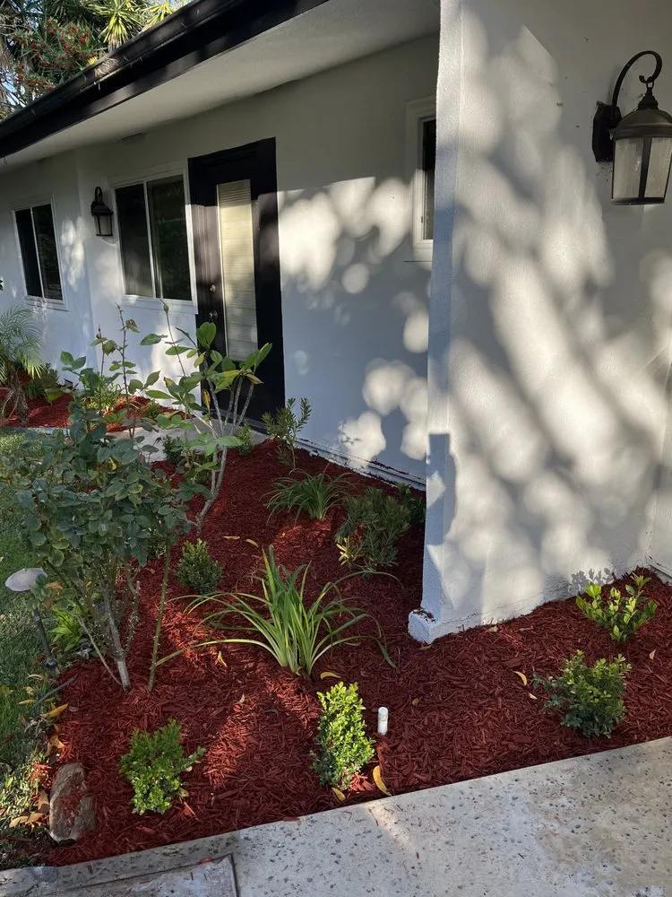 Affordable landscape installation for beautiful yards in Orange, CA by Monte Cielo Landscape
