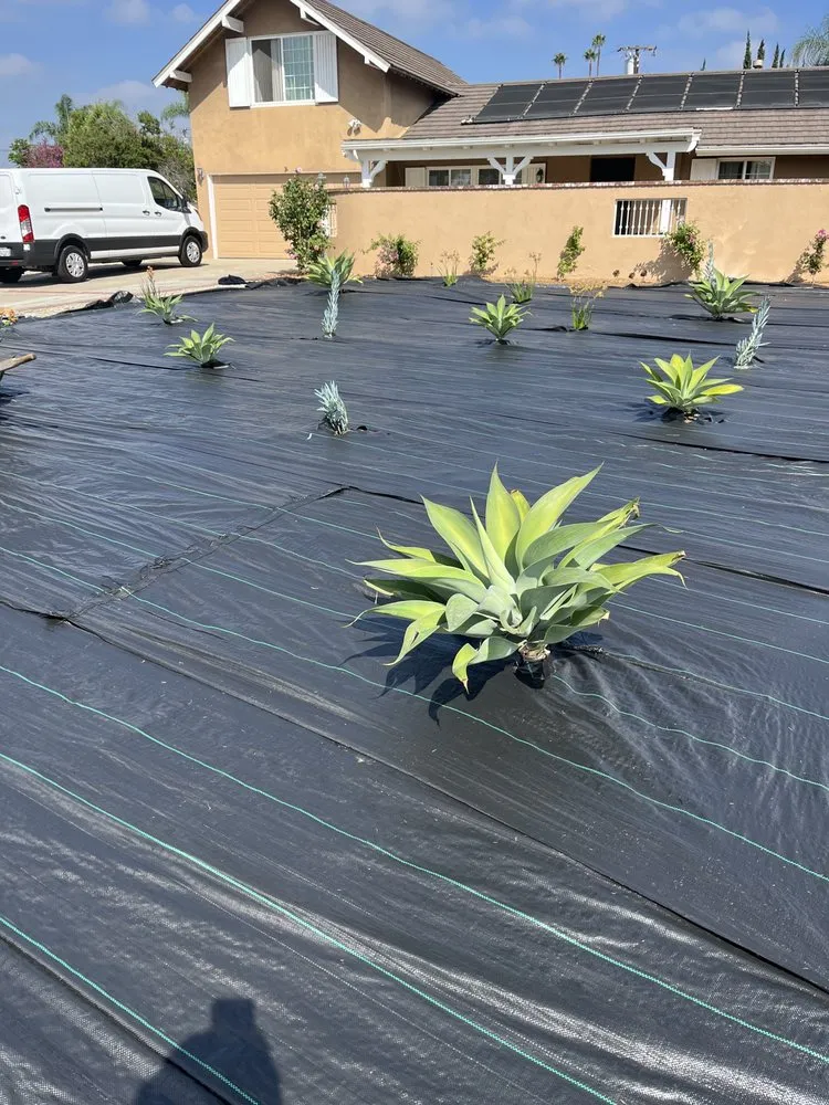 Affordable yard cleanup service experts serving Orange, CA - Monte Cielo Landscape