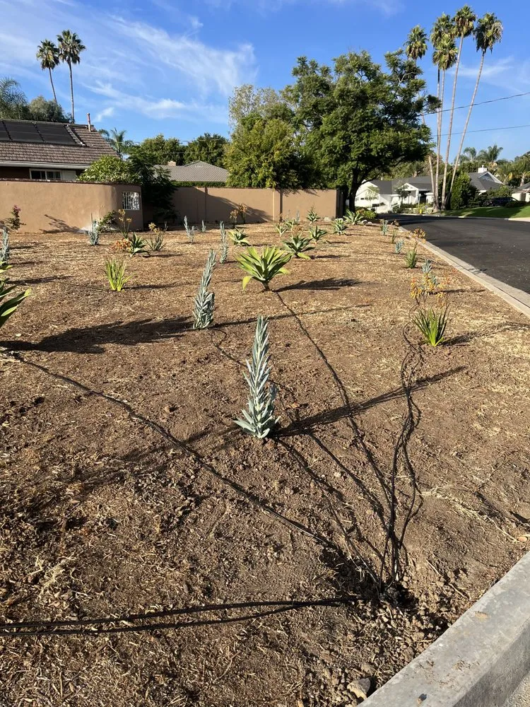 Trusted lawn mowing service in Orange, CA by Monte Cielo Landscape