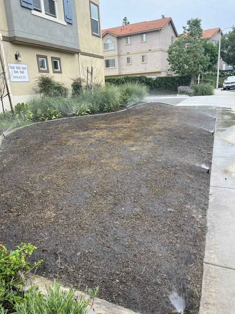 Local lawn care service with custom design in Orange, CA by Monte Cielo Landscape