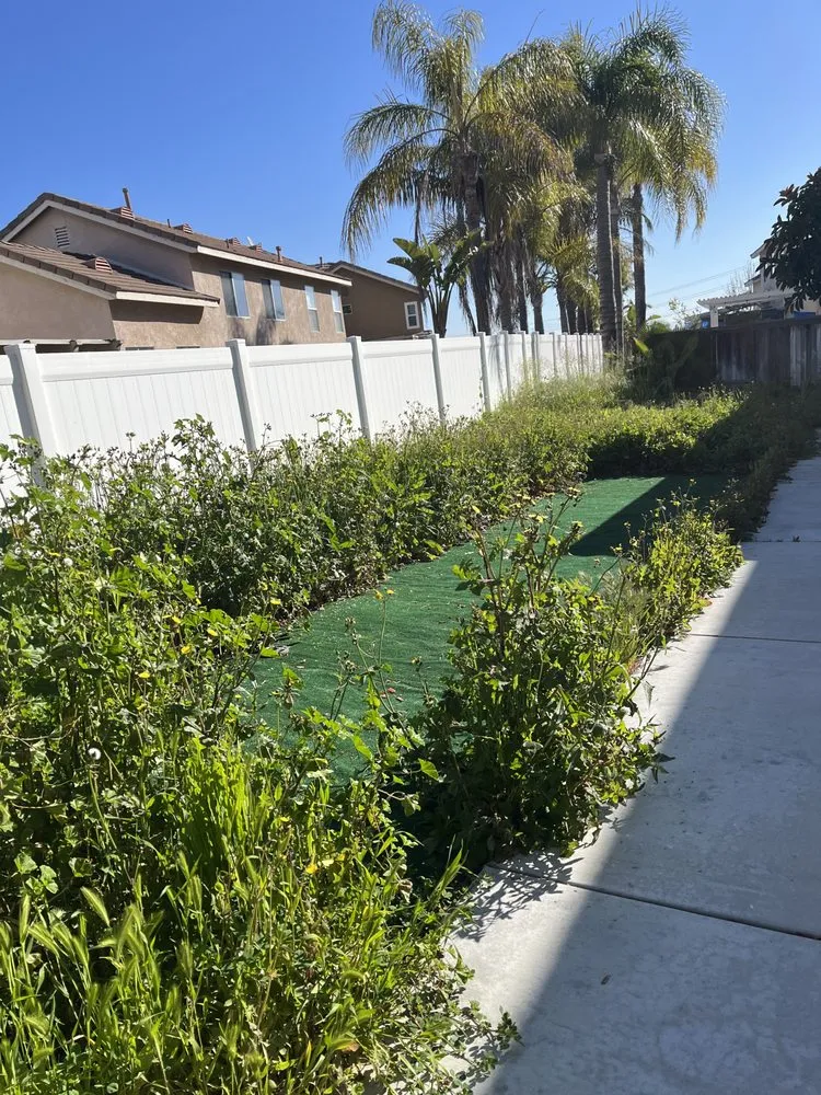 Reliable landscaping services in Orange, CA - Monte Cielo Landscape