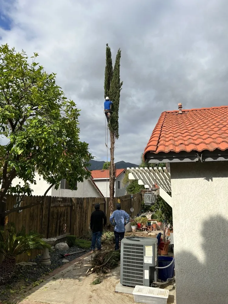 Local outdoor landscaping in Orange, CA - Monte Cielo Landscape