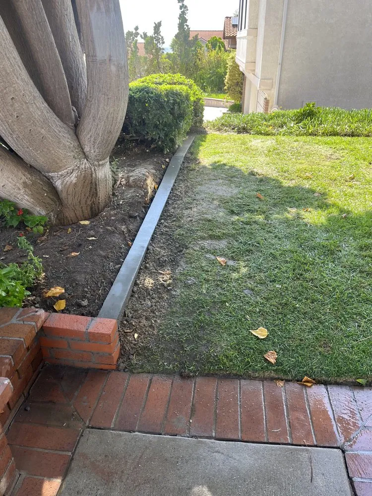 Local yard maintenance experts serving Orange, CA - Monte Cielo Landscape
