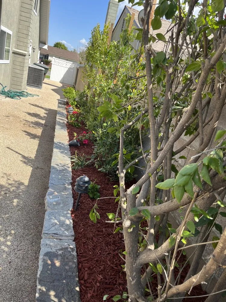 Top-rated residential landscaping experts serving Orange, CA - Monte Cielo Landscape