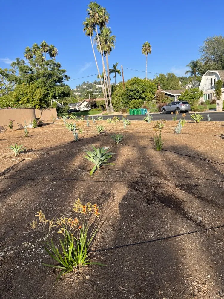 Affordable lawn care service for year-round maintenance in Orange, CA by Monte Cielo Landscape