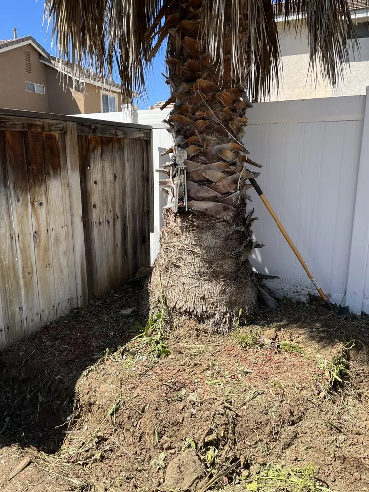 Expert landscape installation for beautiful yards across Orange, CA - Monte Cielo Landscape