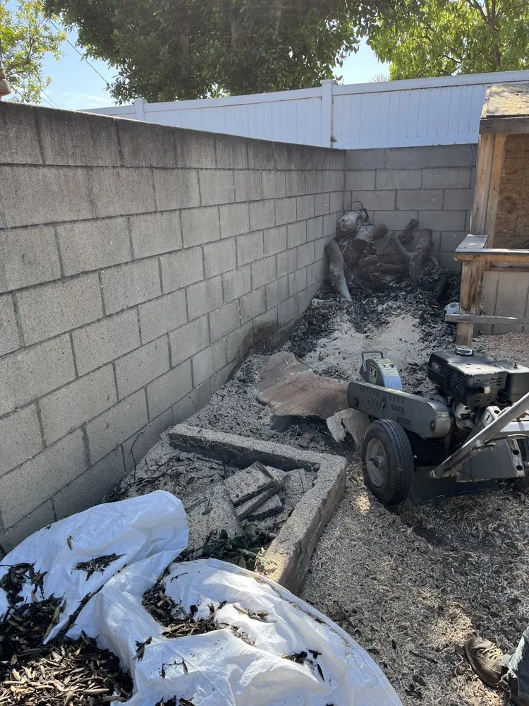 Expert landscape design in Orange, CA - Monte Cielo Landscape