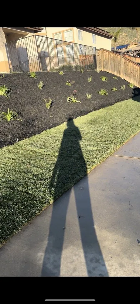 Expert landscape design in Orange, CA by Monte Cielo Landscape