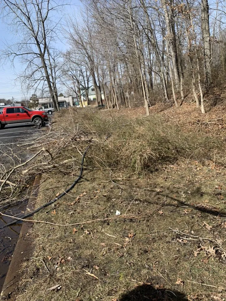 Affordable residential landscaping for residential properties across Long Branch, NJ - Monte Sinai Lawn Care