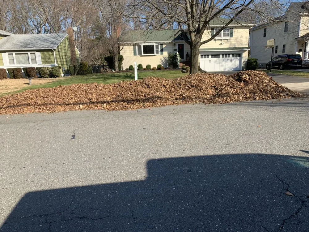 Trusted landscaping services in Long Branch, NJ - Monte Sinai Lawn Care