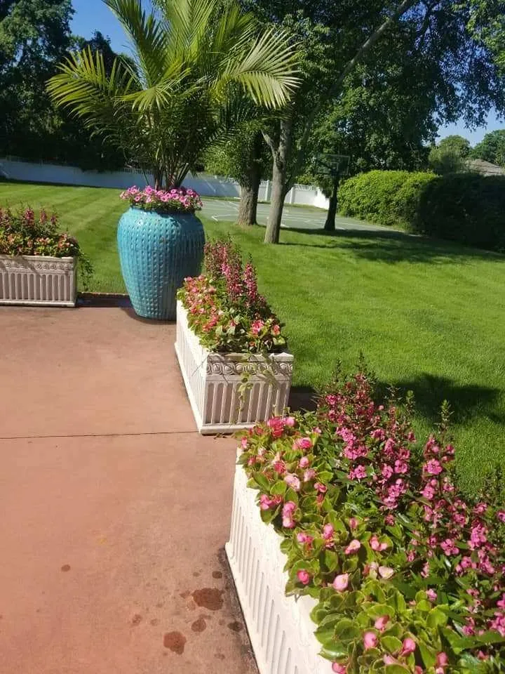 Affordable lawn care service near you in Long Branch, NJ by Monte Sinai Lawn Care