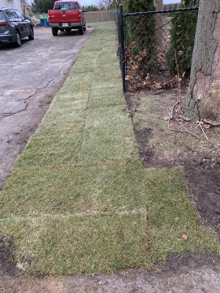 Expert yard maintenance for year-round maintenance in Long Branch, NJ by Monte Sinai Lawn Care