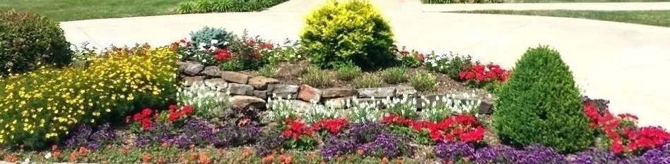 Affordable yard cleanup service for outdoor upgrades in Long Branch, NJ by Monte Sinai Lawn Care
