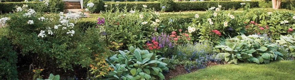 Local yard maintenance in Long Branch, NJ by Monte Sinai Lawn Care