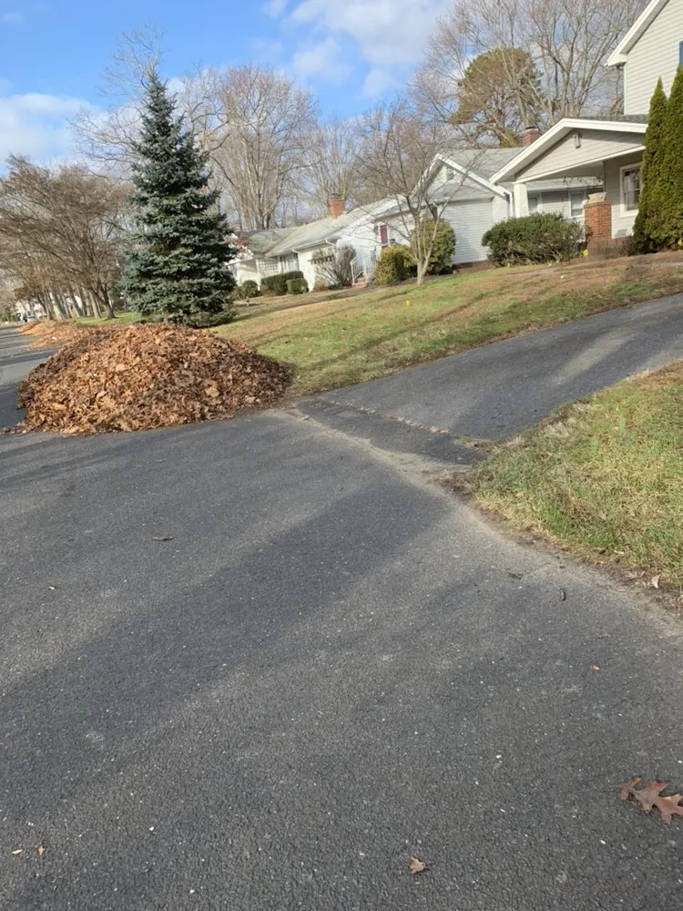 Reliable lawn care service near you in Long Branch, NJ by Monte Sinai Lawn Care