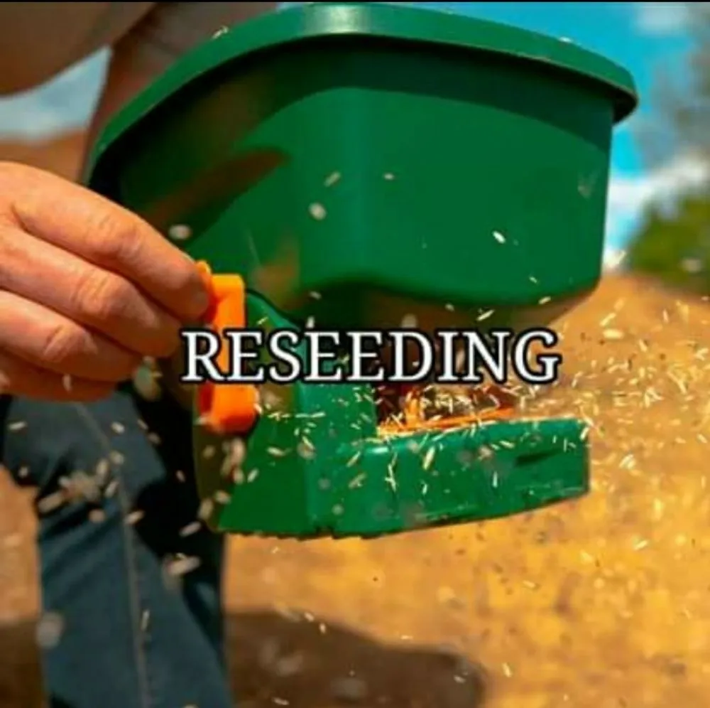 Professional yard maintenance in Addison, IL - Monte Verde