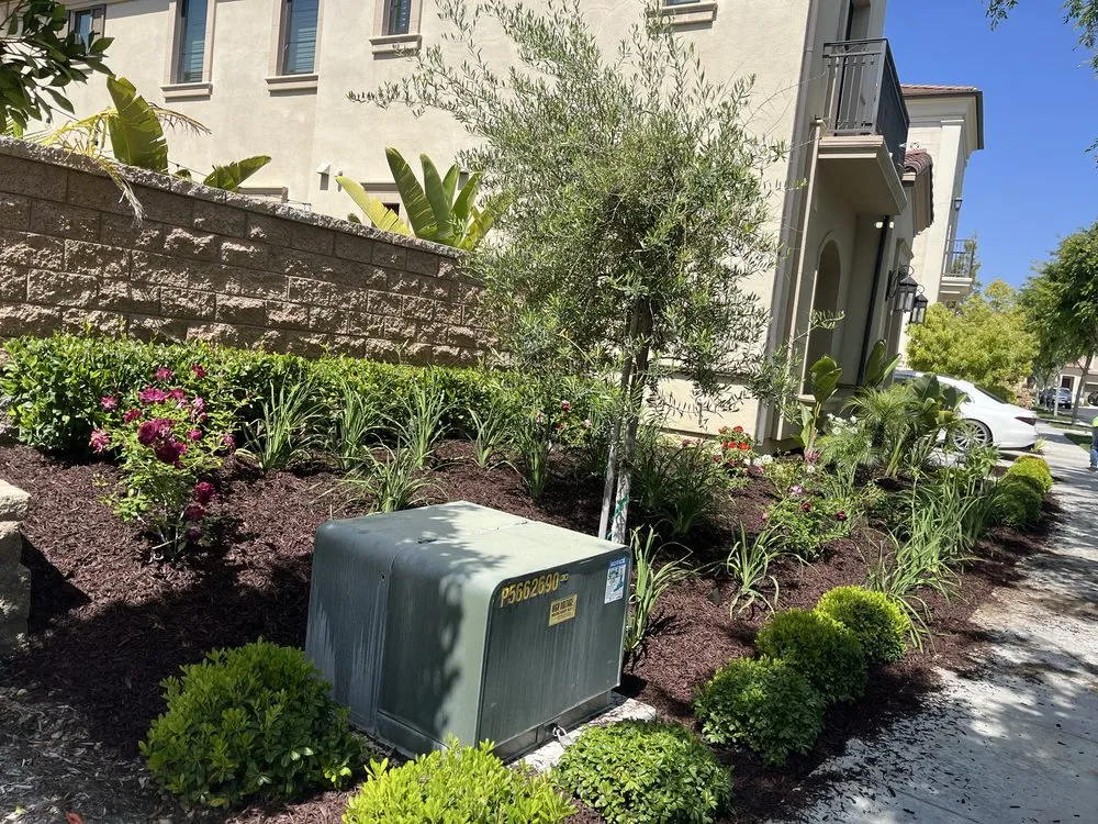 Affordable lawn care service in Garden Grove, CA by Monte Vielo Landscape