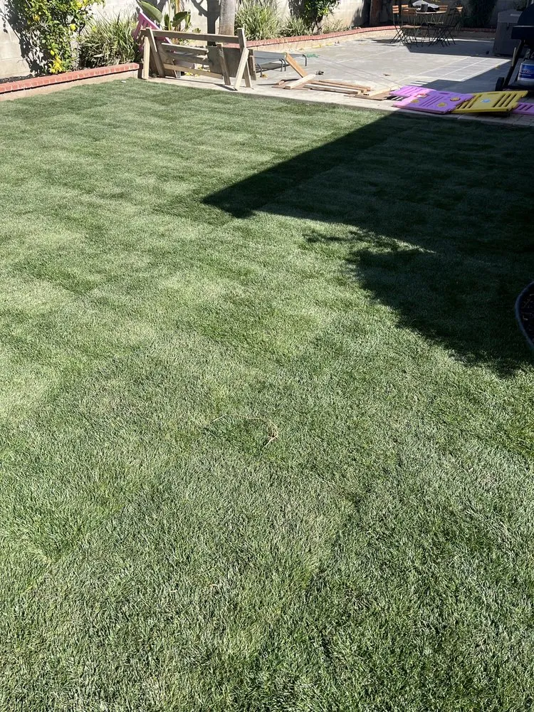 Expert outdoor landscaping for homes across Garden Grove, CA - Monte Vielo Landscape