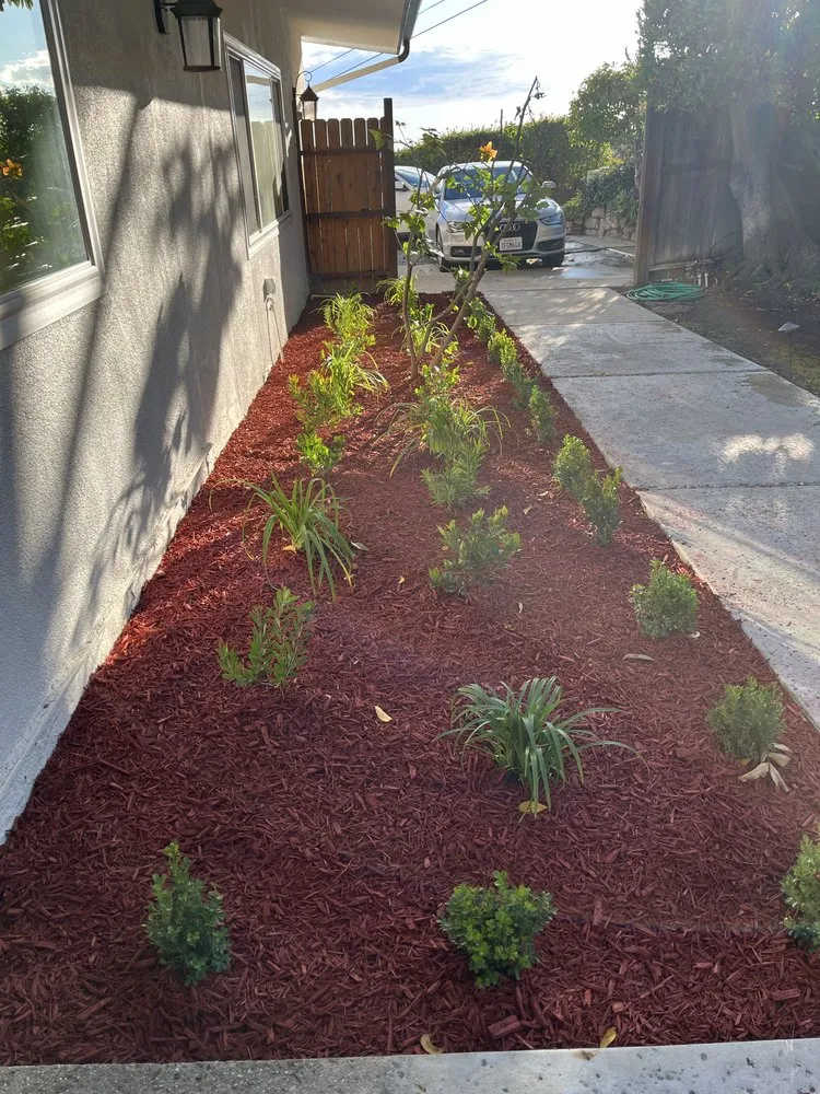 Expert garden landscaping experts serving Garden Grove, CA - Monte Vielo Landscape