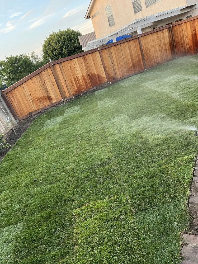 Local landscaping services in Garden Grove, CA by Monte Vielo Landscape