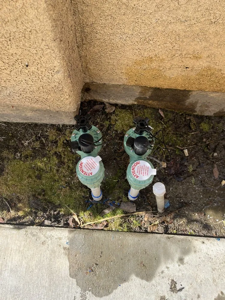 Expert lawn care service experts serving Garden Grove, CA - Monte Vielo Landscape