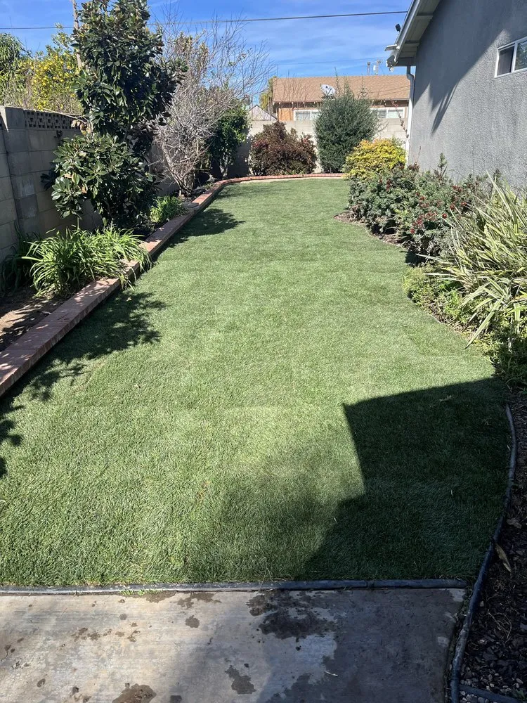 Top-rated residential landscaping for year-round maintenance across Garden Grove, CA - Monte Vielo Landscape