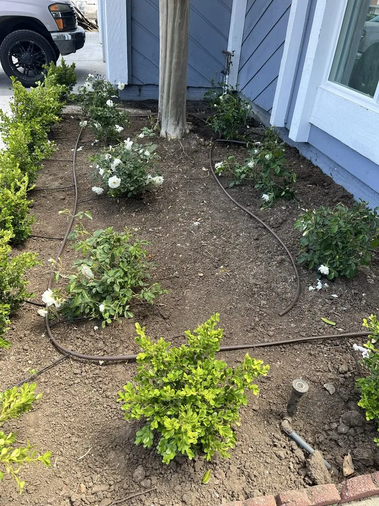 Reliable garden landscaping with custom design across Garden Grove, CA - Monte Vielo Landscape