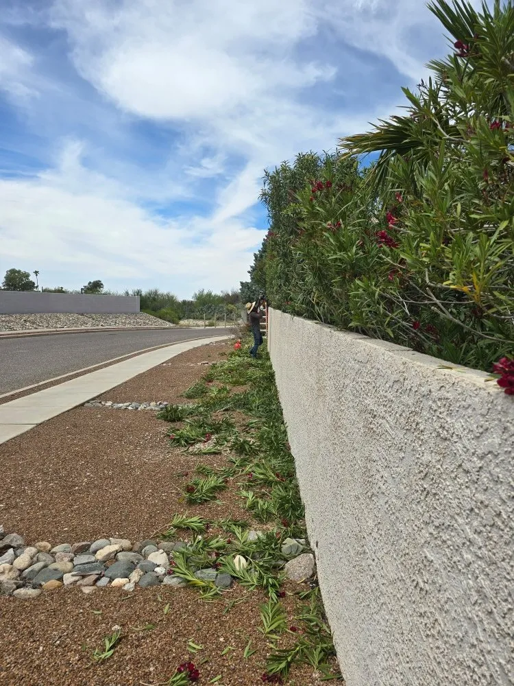 Affordable lawn mowing service in Tucson, AZ - Monte Vista Landscaping