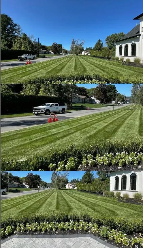 Top-rated yard maintenance in New City, NY by MonteBello Landscaping & Construction