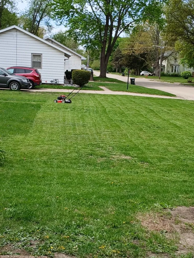 Expert yard cleanup service with custom design in Sterling, IL by Montee's Lawn Care