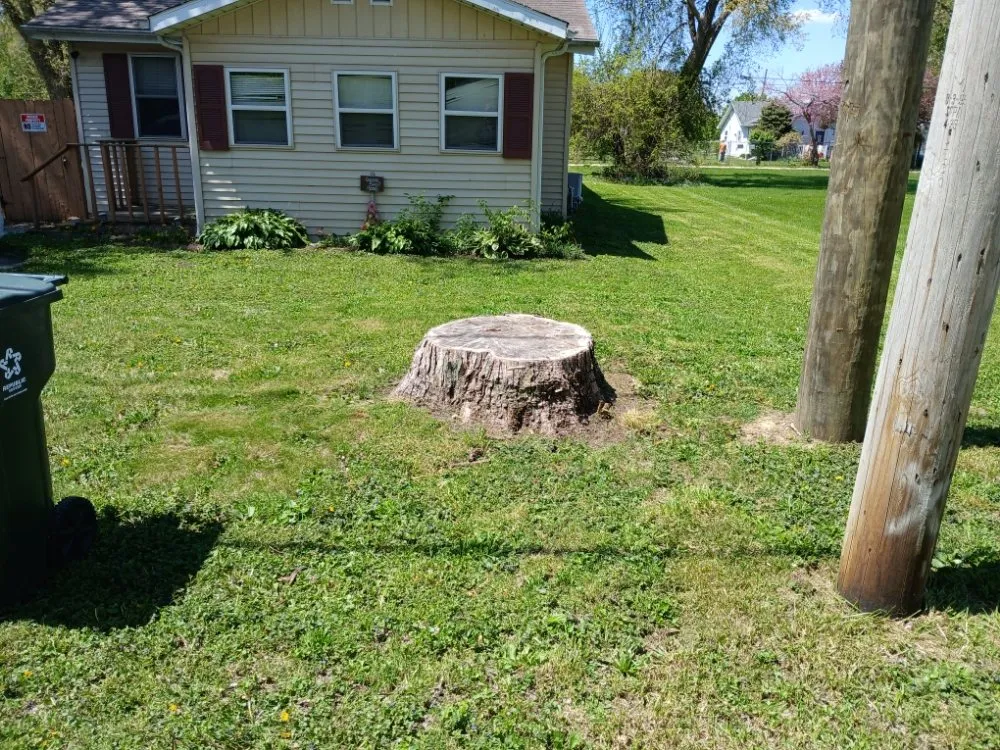 Custom yard cleanup service in Sterling, IL by Montee's Lawn Care