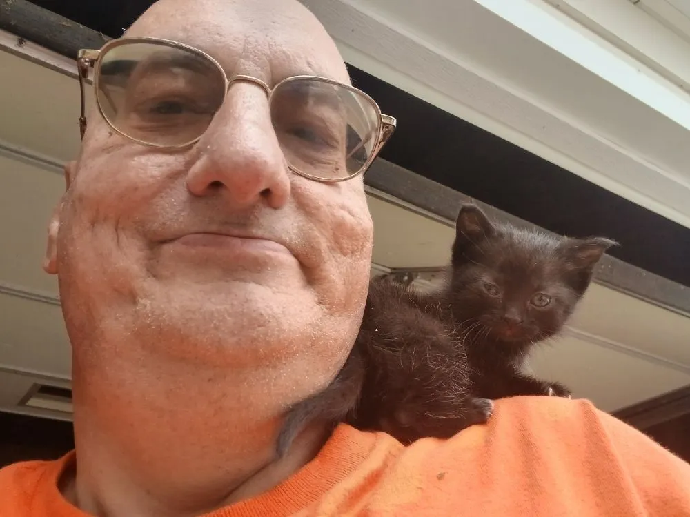 Local lawn mowing service for outdoor upgrades in Sterling, IL by Montee's Lawn Care