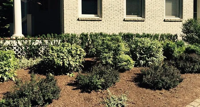 Custom landscape design with custom design in Framingham, MA by Monteiro And Sons Landscape Services