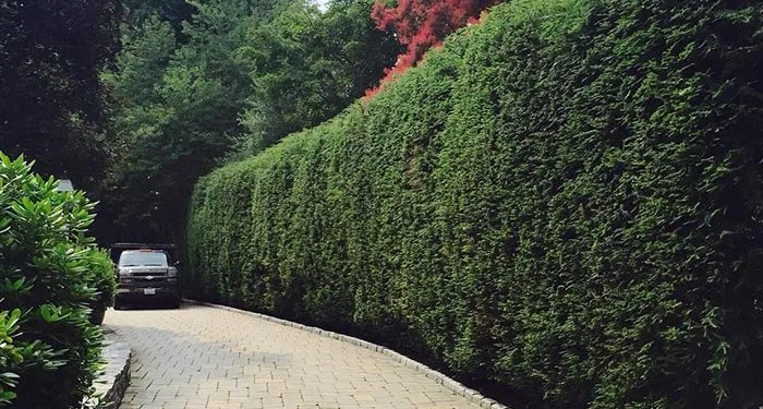 Local garden landscaping in Framingham, MA by Monteiro And Sons Landscape Services