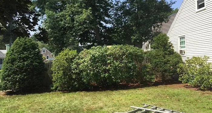 Local lawn care service experts serving Framingham, MA - Monteiro And Sons Landscape Services