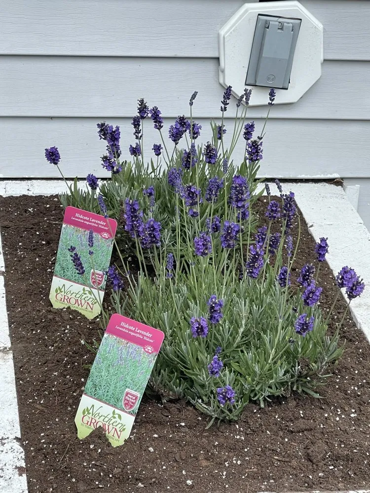 Local landscape design for outdoor upgrades in West Warwick, RI by Monteiro’s Landscaping