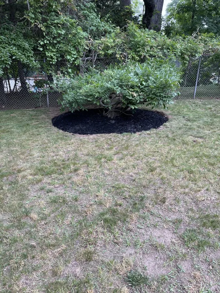 Custom yard cleanup service in West Warwick, RI - Monteiro’s Landscaping