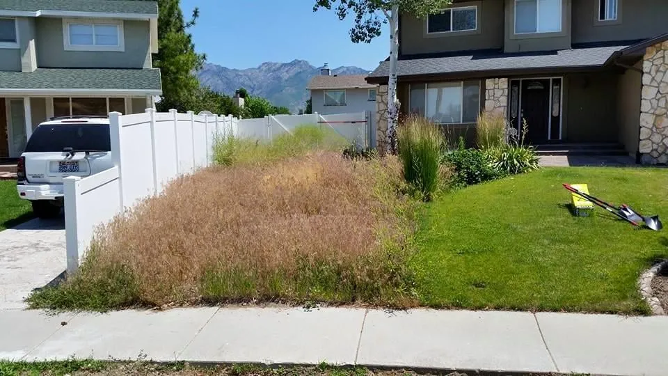 Professional landscape design in West Valley City, UT - Montejo Company