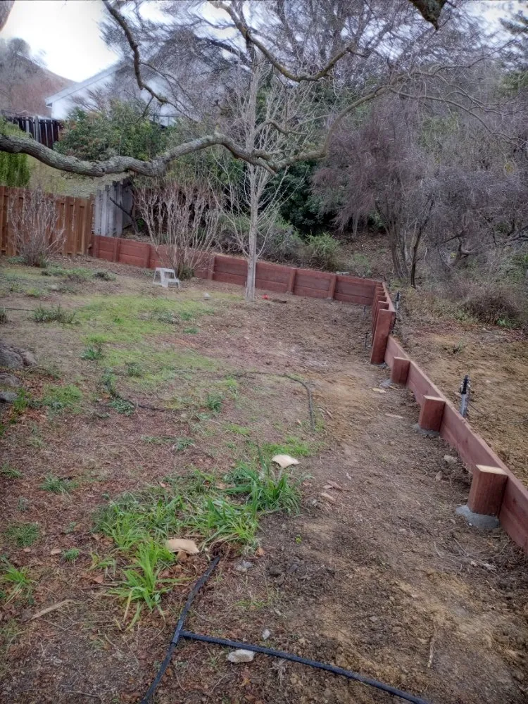 Expert yard cleanup service in Bay Point, CA - Montejo Gardening