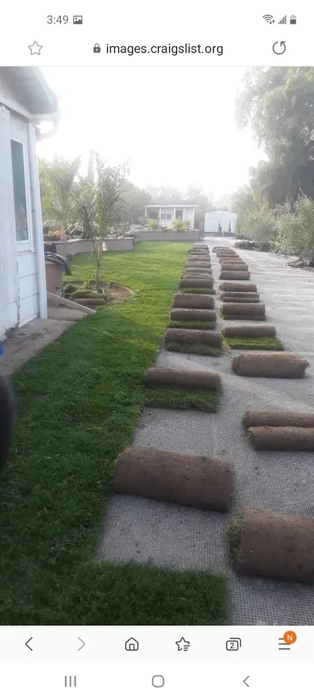 Local landscaping services experts serving Bay Point, CA - Montejo Gardening