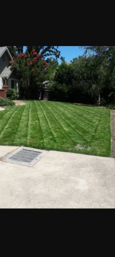 Professional lawn mowing service in Bay Point, CA - Montejo Gardening