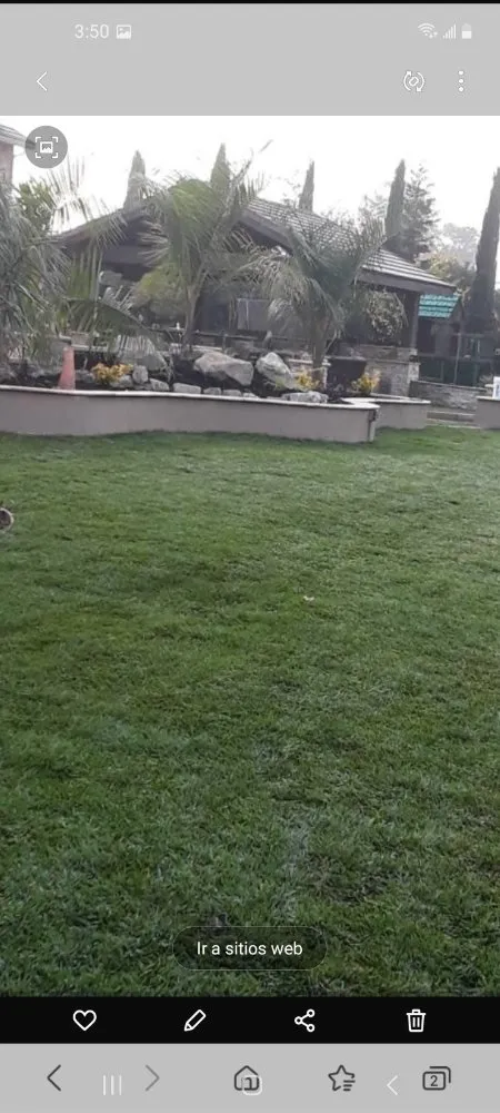 Local landscaping services for year-round maintenance across Bay Point, CA - Montejo Gardening