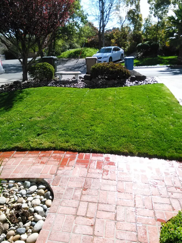 Custom residential landscaping for residential properties in Bay Point, CA by Montejo Gardening