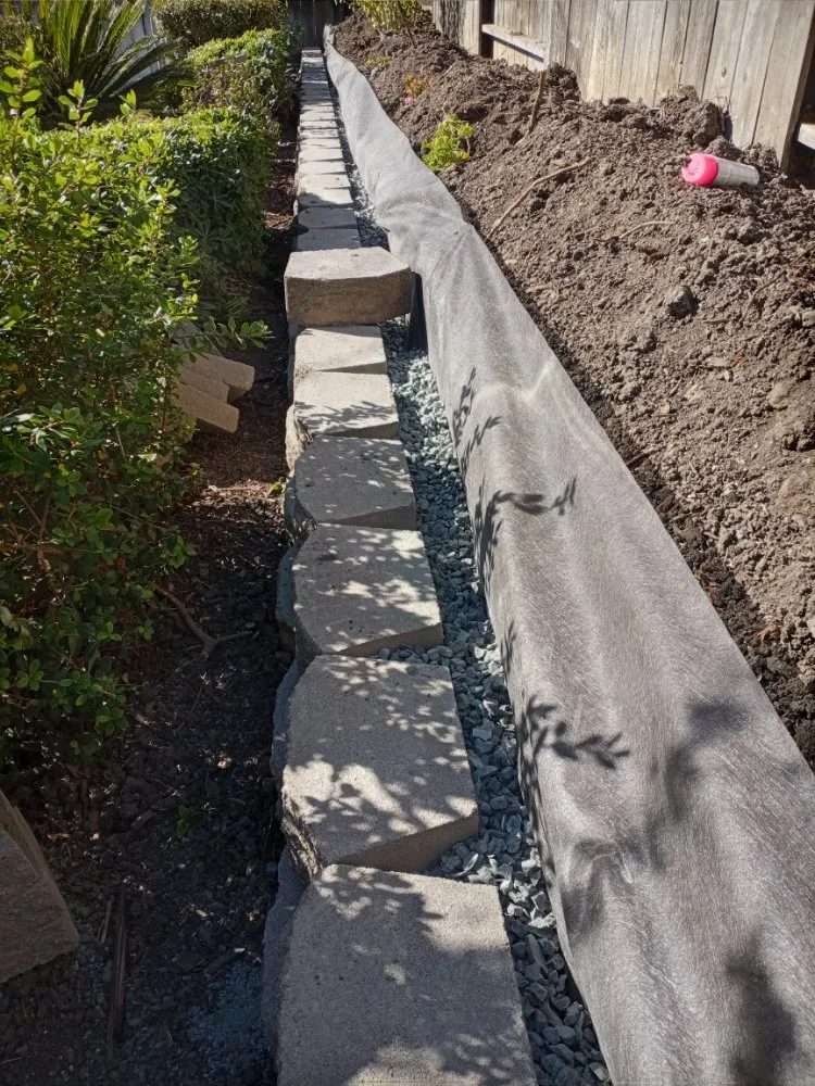 Reliable yard cleanup service in Bay Point, CA by Montejo Gardening