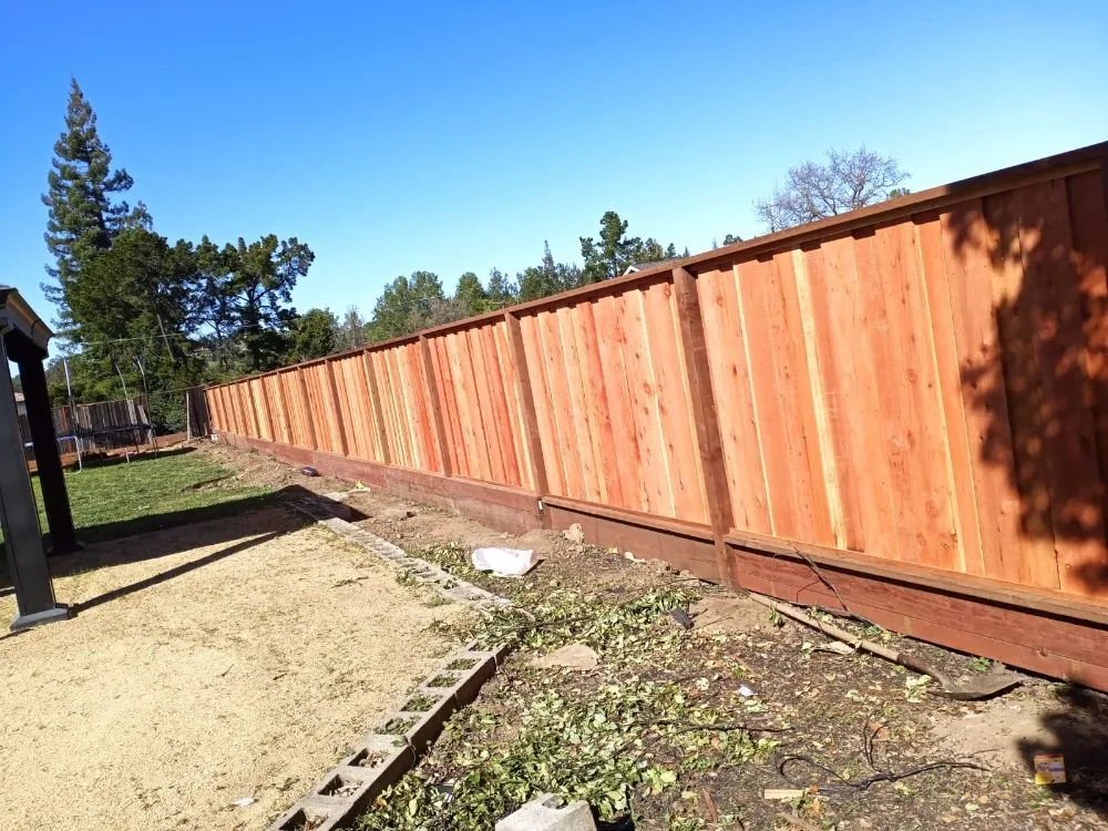 Local landscape design experts serving Bay Point, CA - Montejo Gardening