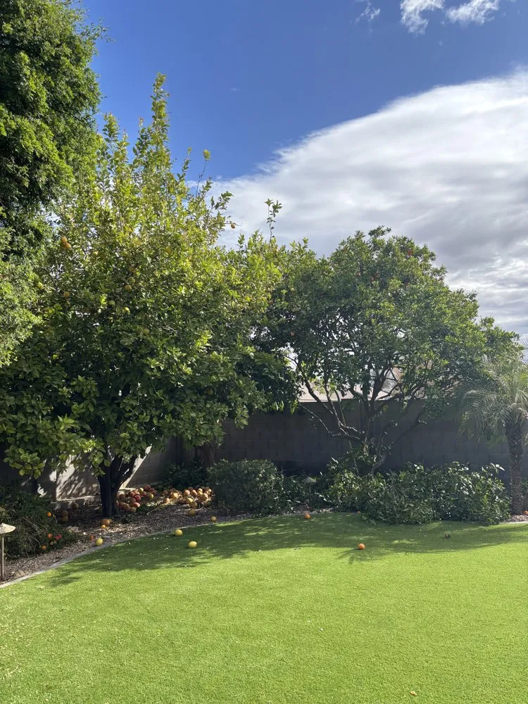 Custom lawn care service with custom design across Mesa, AZ - Montejo landscape management