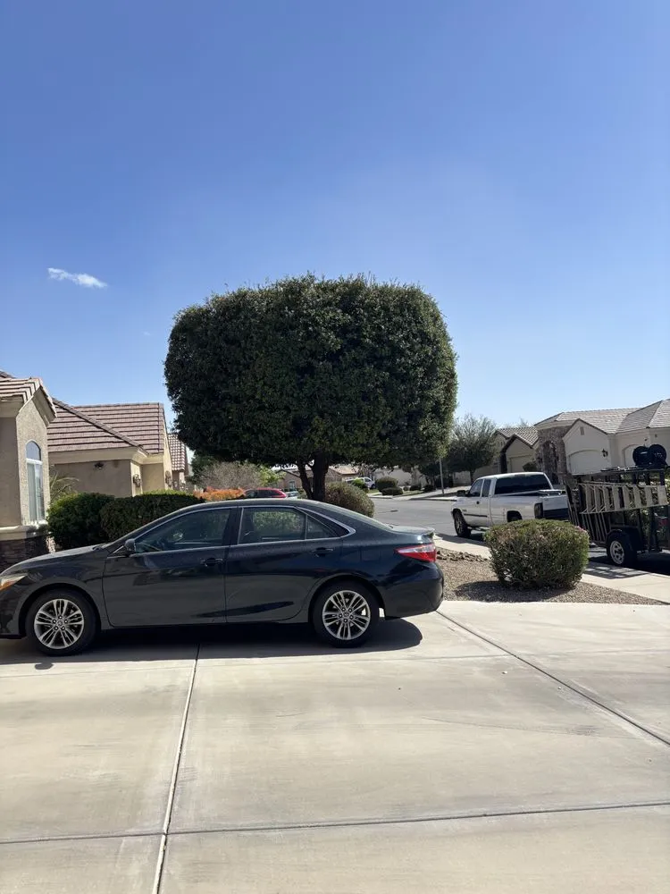 Professional landscape design in Mesa, AZ - Montejo landscape management