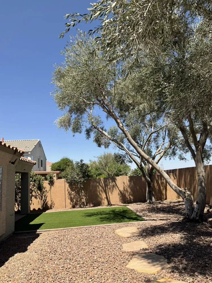 Trusted lawn care service in Mesa, AZ - Montejo landscape management