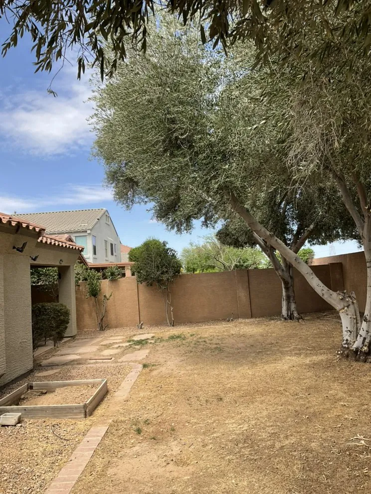 Local yard cleanup service in Mesa, AZ by Montejo landscape management